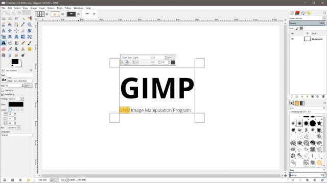 gimp