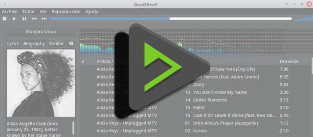 DeaDBeeF-est-opensource-musique-player-pour-Linux