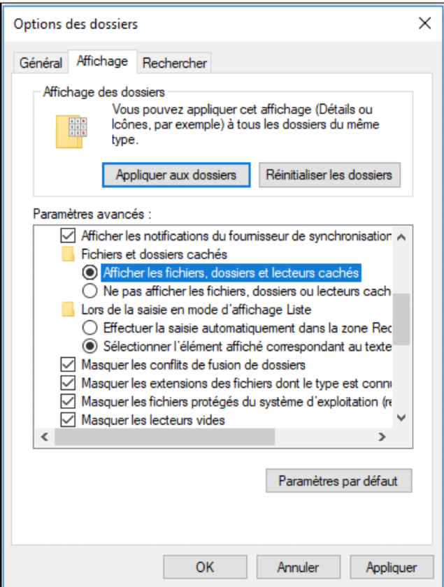 Comment afficher les fichiers et dossiers cachés sous Windows