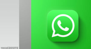 whatsapp nouveautés 2024