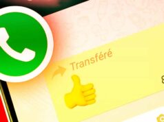 WhatsApp-transferer-message-confidentialite